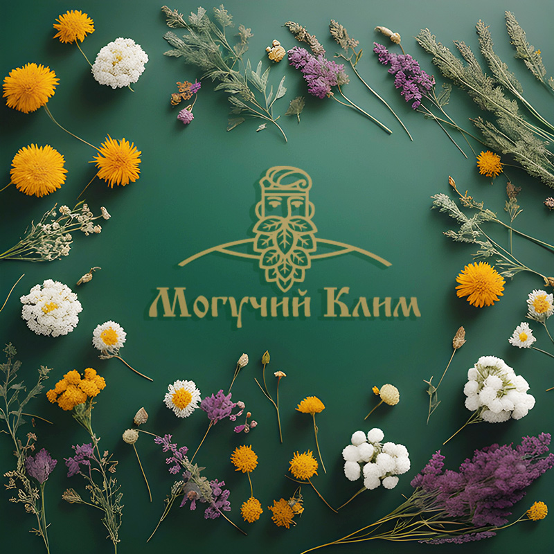 logofabrika_fermaklim262